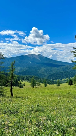 Купить земельный участок на улице Яминская в Алтайском крае. Вариант № 20735, 2, площадь -  квм, цена 6800000 рублей