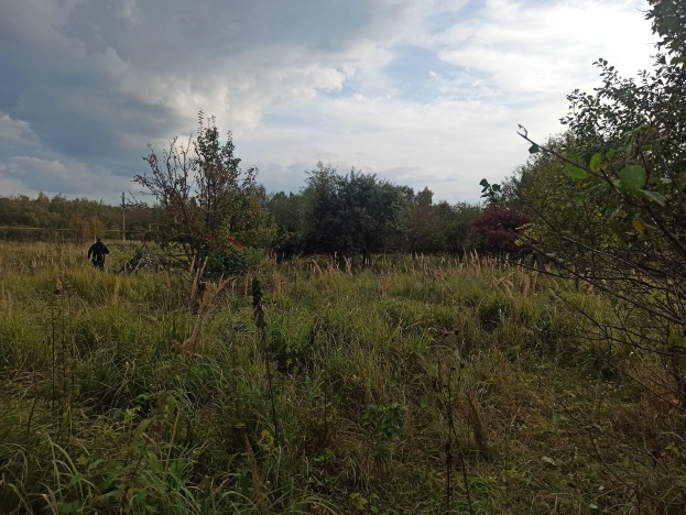 Купить земельный участок на улице Лесная в Лакинске. Вариант № 3877, 1, площадь -  квм, цена 350000 рублей