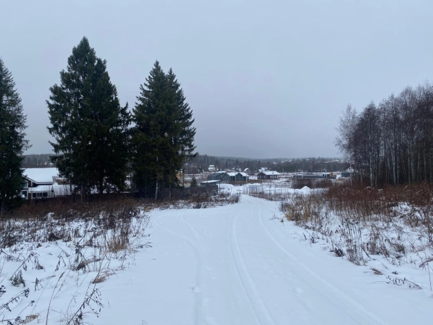 Купить земельный участок в Вологодской области. Вариант № 21303, 8, площадь -  квм, цена 1000000 рублей