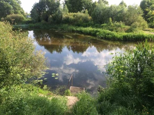 Купить земельный участок в Воронеже. Вариант № 6942, 2, площадь -  квм, цена 700000 рублей