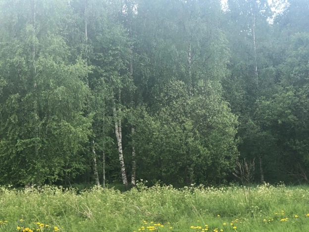 Купить земельный участок в Республике Карелия. Вариант № 2178975, 0, площадь -  квм, цена 2000000 рублей