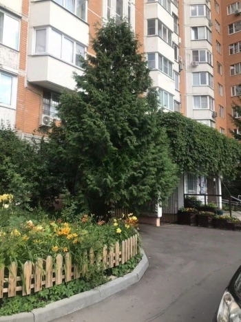 Купить квартиру в Москве. Вариант № 10074036, 15, площадь -  квм, цена 23450000 рублей