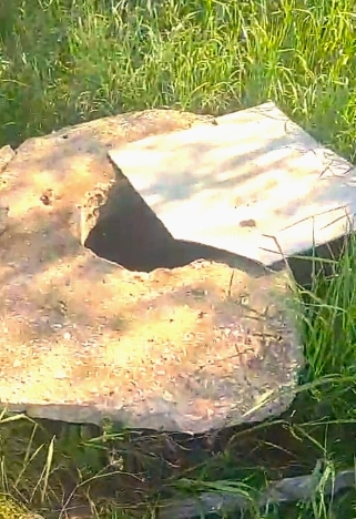 Купить земельный участок в Республике Крым. Вариант № 42238, 12, площадь -  квм, цена 580000 рублей