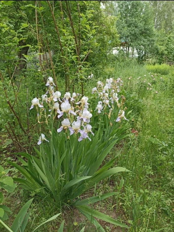Купить земельный участок на улице Дружбы в Республике Татарстан (татарстан). Вариант № 30878, 16, площадь -  квм, цена 5500000 рублей