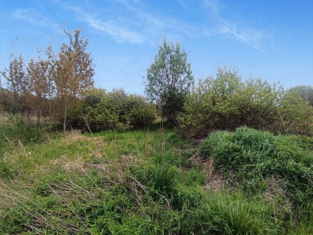 Купить земельный участок в Калининграде. Вариант № 7173451, 2, площадь -  квм, цена 400000 рублей