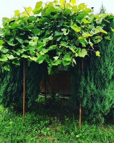 Купить дом в Москве. Вариант № 8474436, 12, площадь -  квм, цена 4300000 рублей