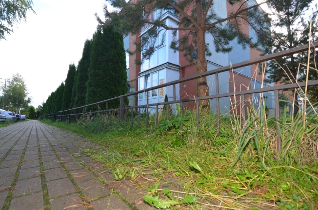 . Вариант № 26148, 15, площадь - 20.5 квм, цена 2599999 рублей