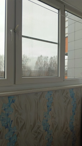 Купить однокомнатную квартиру в Нижегородской области. Вариант № 9963966, 6, площадь -  квм, цена 2300000 рублей