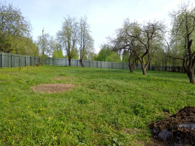 Купить земельный участок в Брянской области. Вариант № 43710, 1, площадь - квм, цена 500000 рублей