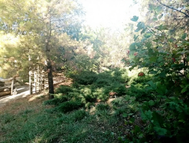 Купить дом на улице Васильковая в Краснодарском крае. Вариант № 8104810, 32, площадь -  квм, цена 14950000 рублей