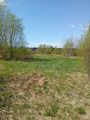 Купить земельный участок в Республике Коми. Вариант № 46055, 8, площадь -  квм, цена 240000 рублей