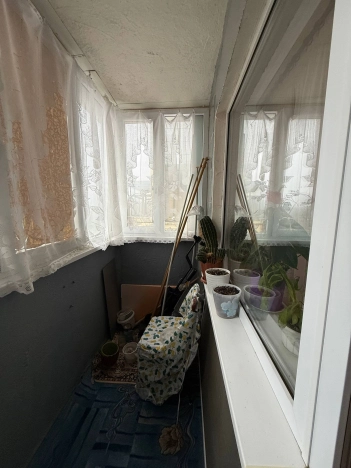 Купить трехкомнатную квартиру в Белгородской области. Вариант № 10025548, 18, площадь -  квм, цена 3700000 рублей