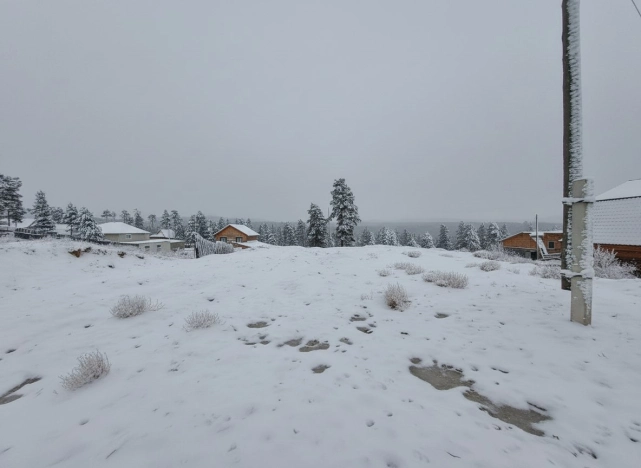 Купить земельный участок в Улан-Удэ. Вариант № 9932625, 2, площадь -  квм, цена 1300000 рублей