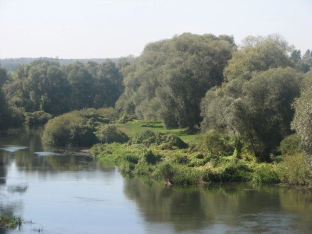 Купить земельный участок в Тульской области. Вариант № 3392, 0, площадь -  квм, цена 700000 рублей