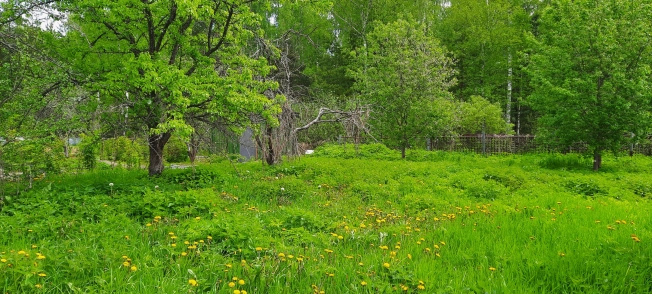 Купить дачу в Владимирской области. Вариант № 4598, 0, площадь -  квм, цена 316000 рублей