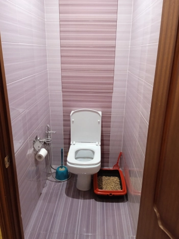 Купить квартиру на улице Соколова-Соколёнка в Владимире. Вариант № 3811, 20, площадь -  квм, цена 8450000 рублей