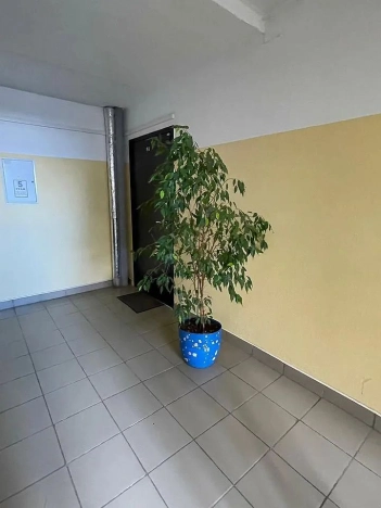 Купить квартиру на улице Бориса Панина в Нижнем Новгороде. Вариант № 5762856, 27, площадь -  квм, цена 14100000 рублей