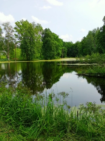 Купить дом в Брянской области. Вариант № 49755, 31, площадь -  квм, цена 6300000 рублей