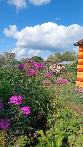 Купить дом в Микрорайоне Восточный, Тобольск в Тобольске. Вариант № 22430, 39, площадь -  квм, цена 15000000 рублей