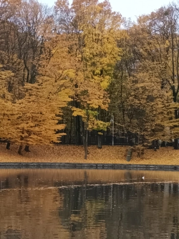 Купить трехкомнатную квартиру в Калининграде. Вариант № 9265098, 26, площадь -  квм, цена 8690000 рублей