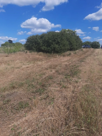 Купить земельный участок на улице Дачная в Белгородской области. Вариант № 2064744, 5, площадь -  квм, цена 750000 рублей