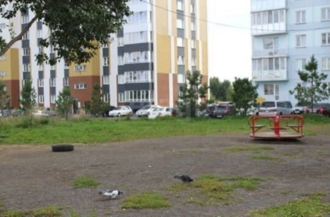 Купить Студию в Новосибирской области. Вариант № 10209635, 6, площадь -  квм, цена 3150000 рублей