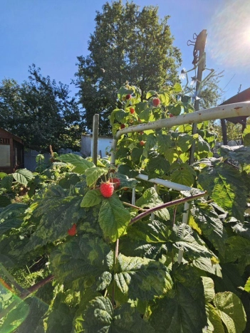 Купить дом в Москве. Вариант № 8983264, 13, площадь -  квм, цена 4400000 рублей