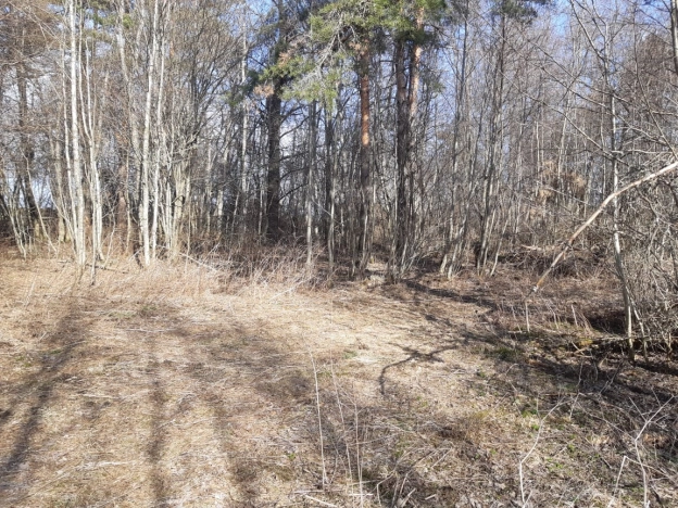 Купить земельный участок в Республике Карелия. Вариант № 5312624, 8, площадь -  квм, цена 4500000 рублей