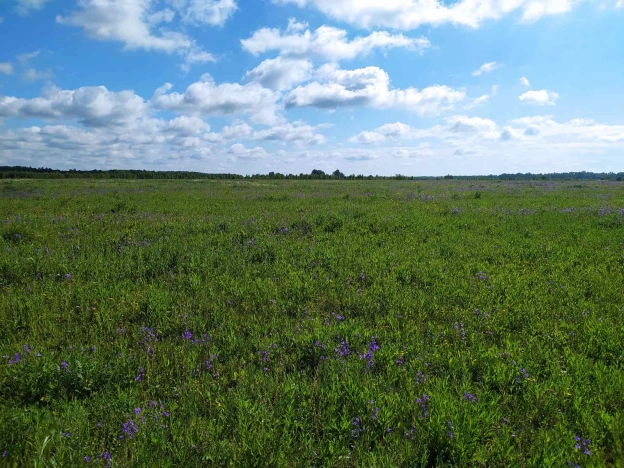 Купить земельный участок на улице Песочная в Ивановской области. Вариант № 17619, 0, площадь -  квм, цена 150000 рублей