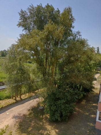 Купить квартиру на улице Молодёжная в Калининградской области. Вариант № 3652801, 18, площадь -  квм, цена 3600000 рублей