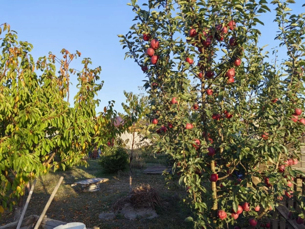 Купить дом на улице Везельская в Белгороде. Вариант № 5557448, 8, площадь -  квм, цена 7980000 рублей