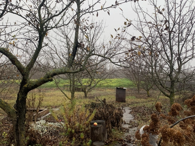 Купить дом в Воронеже. Вариант № 7653827, 21, площадь - квм, цена 1300000 рублей