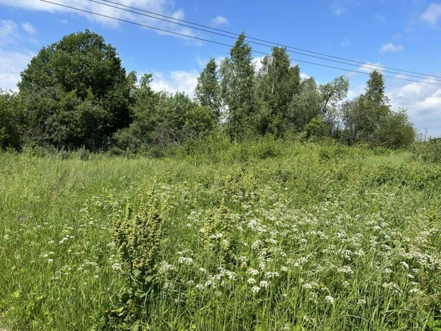 Купить земельный участок в Дзержинске. Вариант № 5709, 0, площадь -  квм, цена 720000 рублей