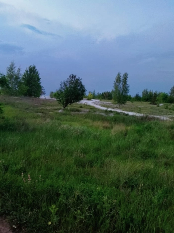 Купить земельный участок в Воронеже. Вариант № 51983, 6, площадь -  квм, цена 350000 рублей