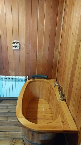 Купить дом в районе Заельцовский в Новосибирске. Вариант № 4134056, 28, площадь -  квм, цена 22000000 рублей