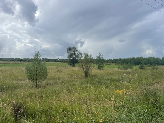 Купить земельный участок в Владимире. Вариант № 7210071, 3, площадь -  квм, цена 11000000 рублей