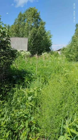 Купить земельный участок в Тобольске. Вариант № 551, 2, площадь -  квм, цена 550000 рублей