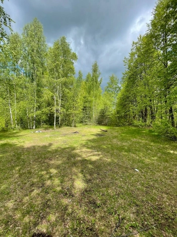 Купить земельный участок в Покрове. Вариант № 28968, 10, площадь -  квм, цена 21500000 рублей