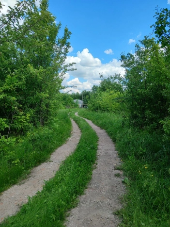 Купить земельный участок в Воронеже. Вариант № 10624, 5, площадь -  квм, цена 550000 рублей