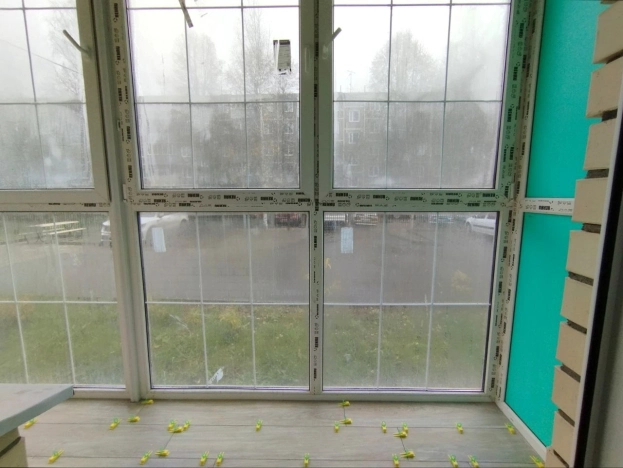 Купить квартиру в Иванове. Вариант № 8667101, 17, площадь -  квм, цена 6500000 рублей