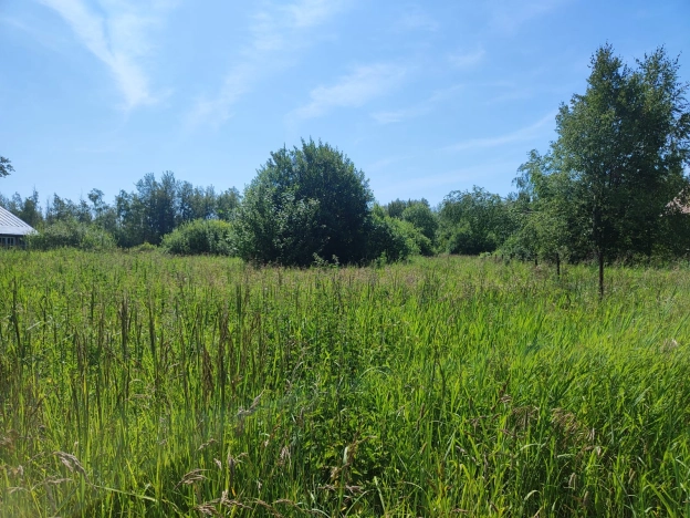 Купить земельный участок в Покрове. Вариант № 60150, 3, площадь -  квм, цена 700000 рублей