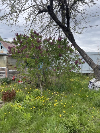 Купить земельный участок в Туле. Вариант № 8306, 3, площадь -  квм, цена 870000 рублей