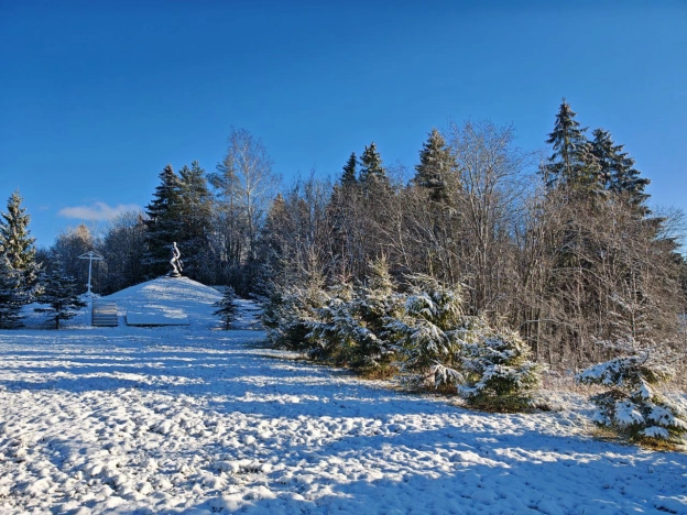 Купить дом в Санкт-Петербурге. Вариант № 9514437, 46, площадь -  квм, цена 15650000 рублей