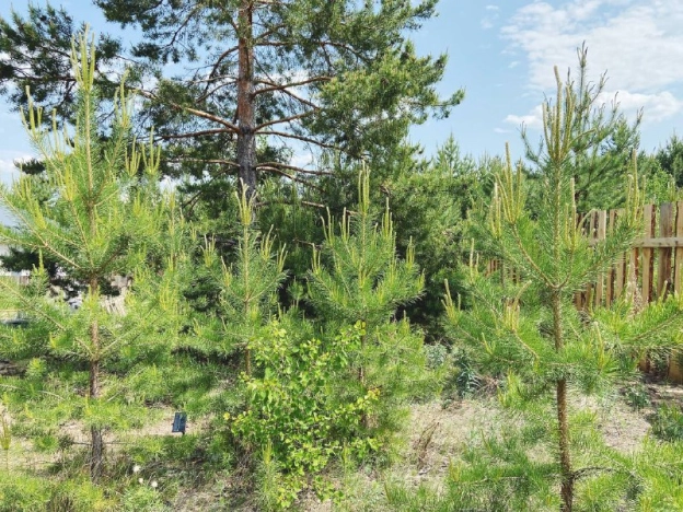 Купить дом в Микрорайоне Забайкальский, Улан-Удэ в Улан-Удэ. Вариант № 51537, 18, площадь -  квм, цена 8650000 рублей