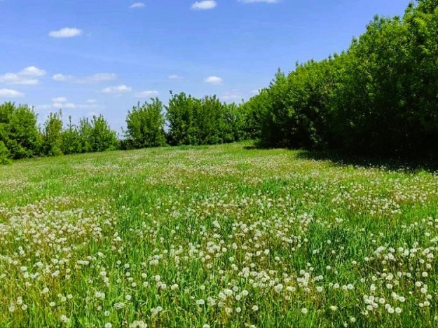 Купить земельный участок на улице Дружбы в Республике Татарстан (татарстан). Вариант № 10912, 2, площадь -  квм, цена 2200000 рублей