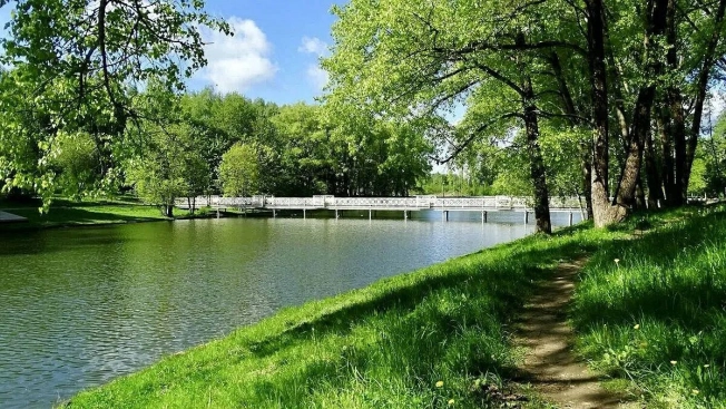 Купить двухкомнатную квартиру в Смоленской области. Вариант № 57083, 18, площадь -  квм, цена 9900000 рублей