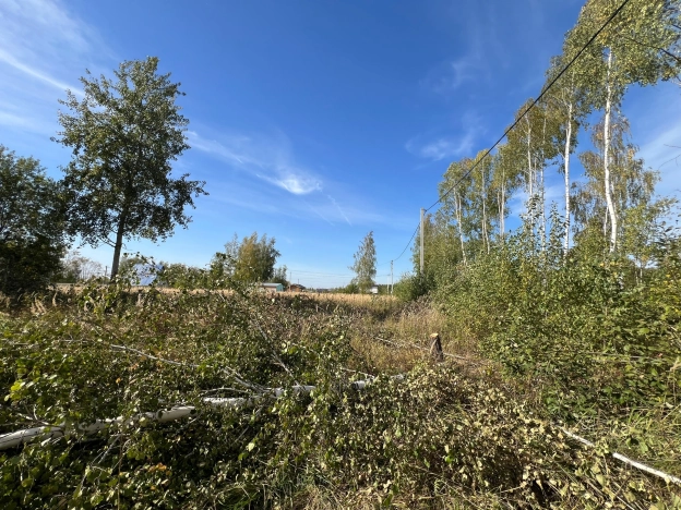 Купить земельный участок в Тульской области. Вариант № 5288682, 2, площадь -  квм, цена 1990000 рублей