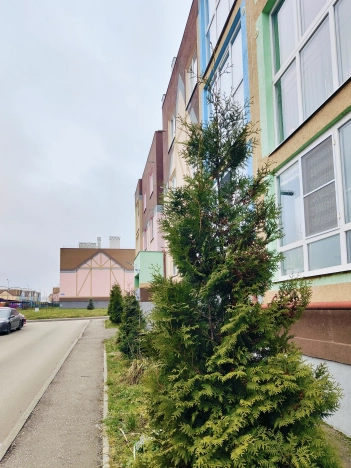 Купить однокомнатную квартиру на вторичке на улице Гаршина в Московской области. Вариант № 10626934, 20, площадь -  квм, цена 3690000 рублей