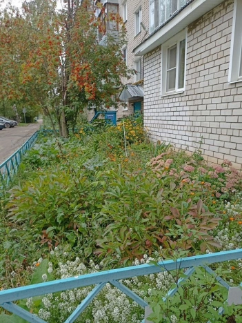 Купить квартиру в Коврове. Вариант № 5509405, 20, площадь -  квм, цена 2400000 рублей