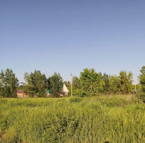 Купить земельный участок в Алтайском крае. Вариант № 9088309, 5, площадь -  квм, цена 3800000 рублей